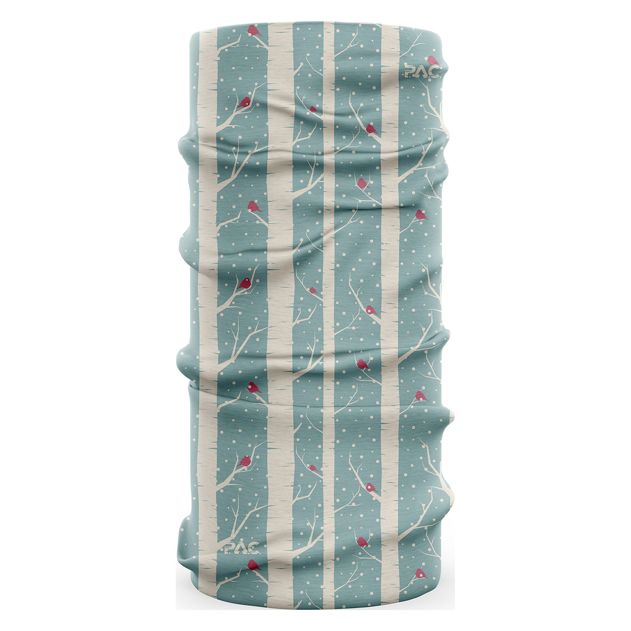 PAC Kids Original Morning Birds